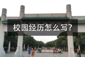 校园经历范文8篇，校园经历案例大全