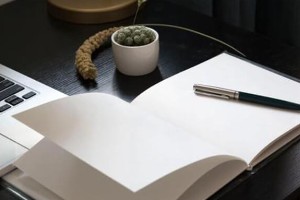 插画师的工作经历怎么写？